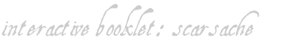 Scarsache interactive booklet